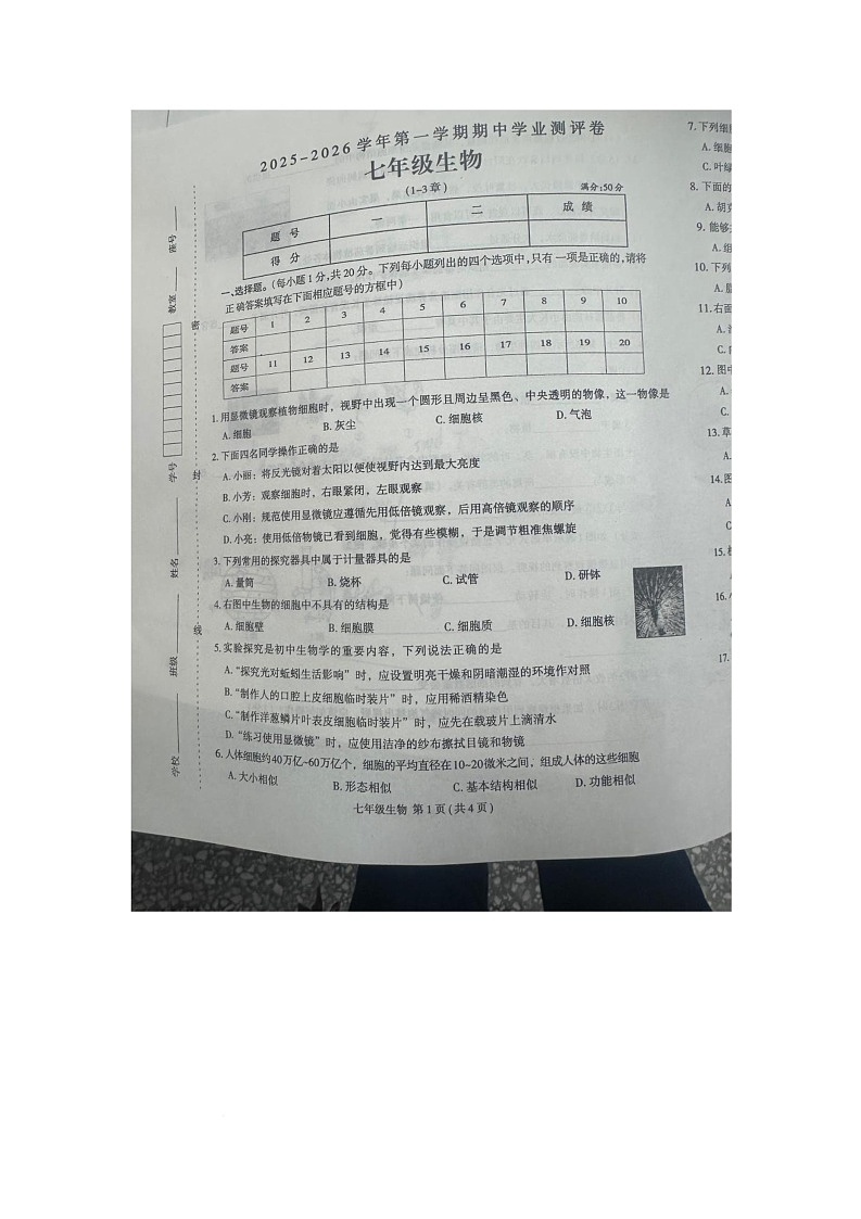 河南省周口市太康县2025-2026学年七年级上学期11月期中考试生物试题第1页