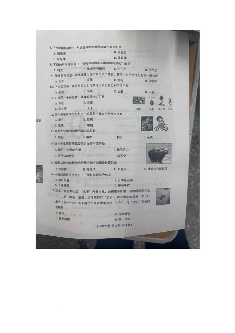 河南省周口市太康县2025-2026学年七年级上学期11月期中考试生物试题第2页