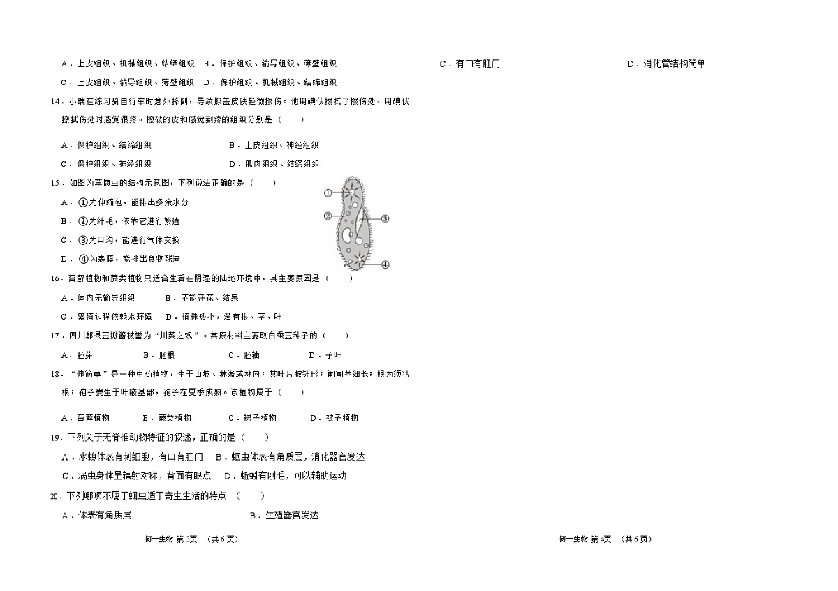 吉林油田第十二中学2025_2026学年度第一学期期中质量检测 七年级生物试卷（含答案）第2页
