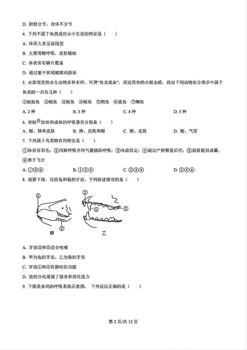 2024-2025学年八年级上学期广州市白云区期末考试生物试卷（学生版）第2页