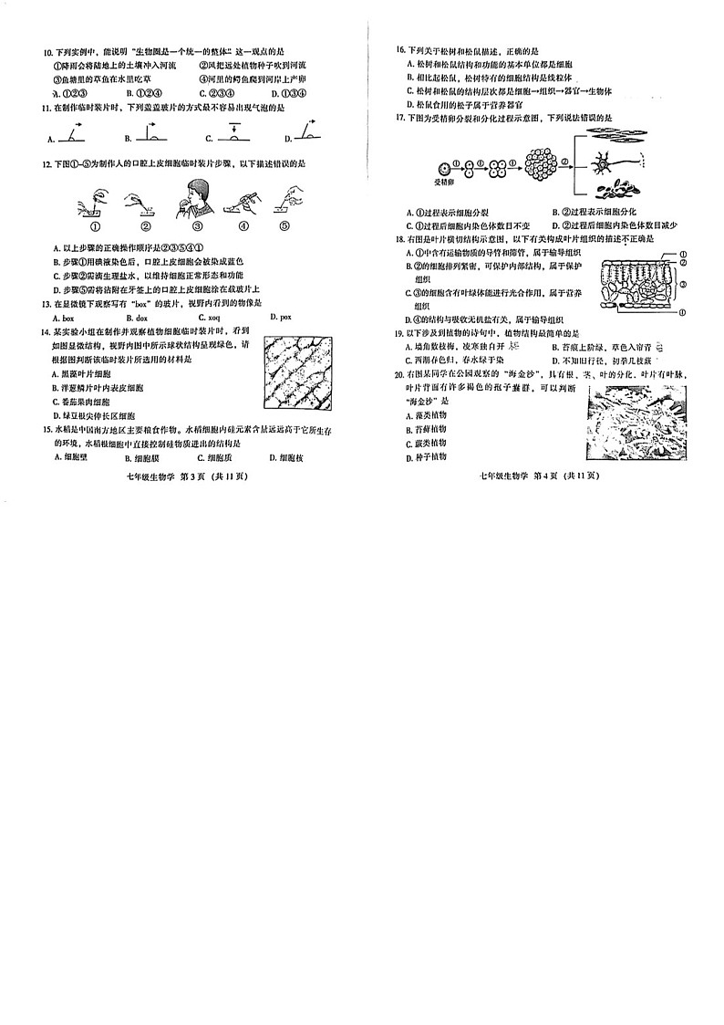 2023学年七年级上学期越秀区期末考试生物试卷（学生版）第2页