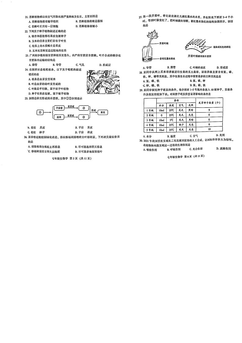 2023学年七年级上学期越秀区期末考试生物试卷（学生版）第3页