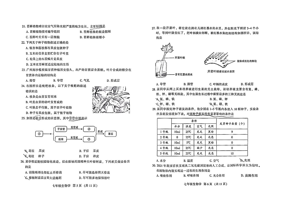 2024-2025学年七年级上学期越秀区期末考试生物试卷（学生版）第2页