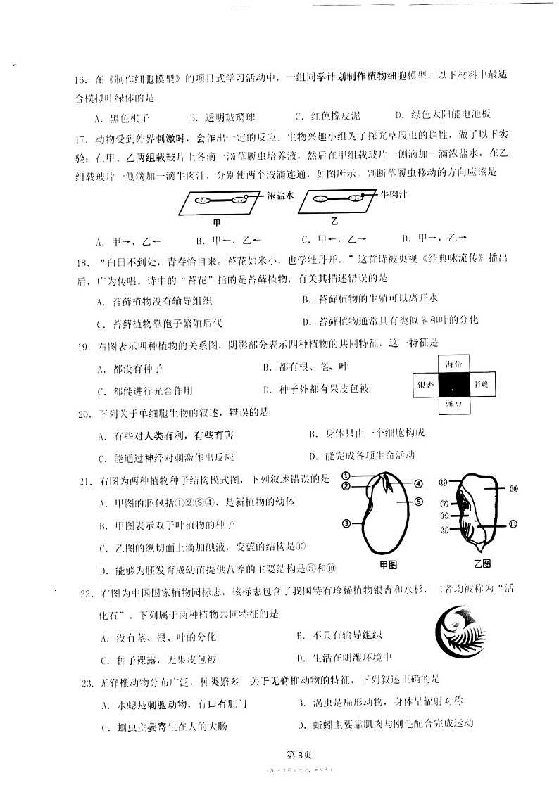 2024-2025学年七年级上学期增城区期末考试生物试卷（学生版）第3页