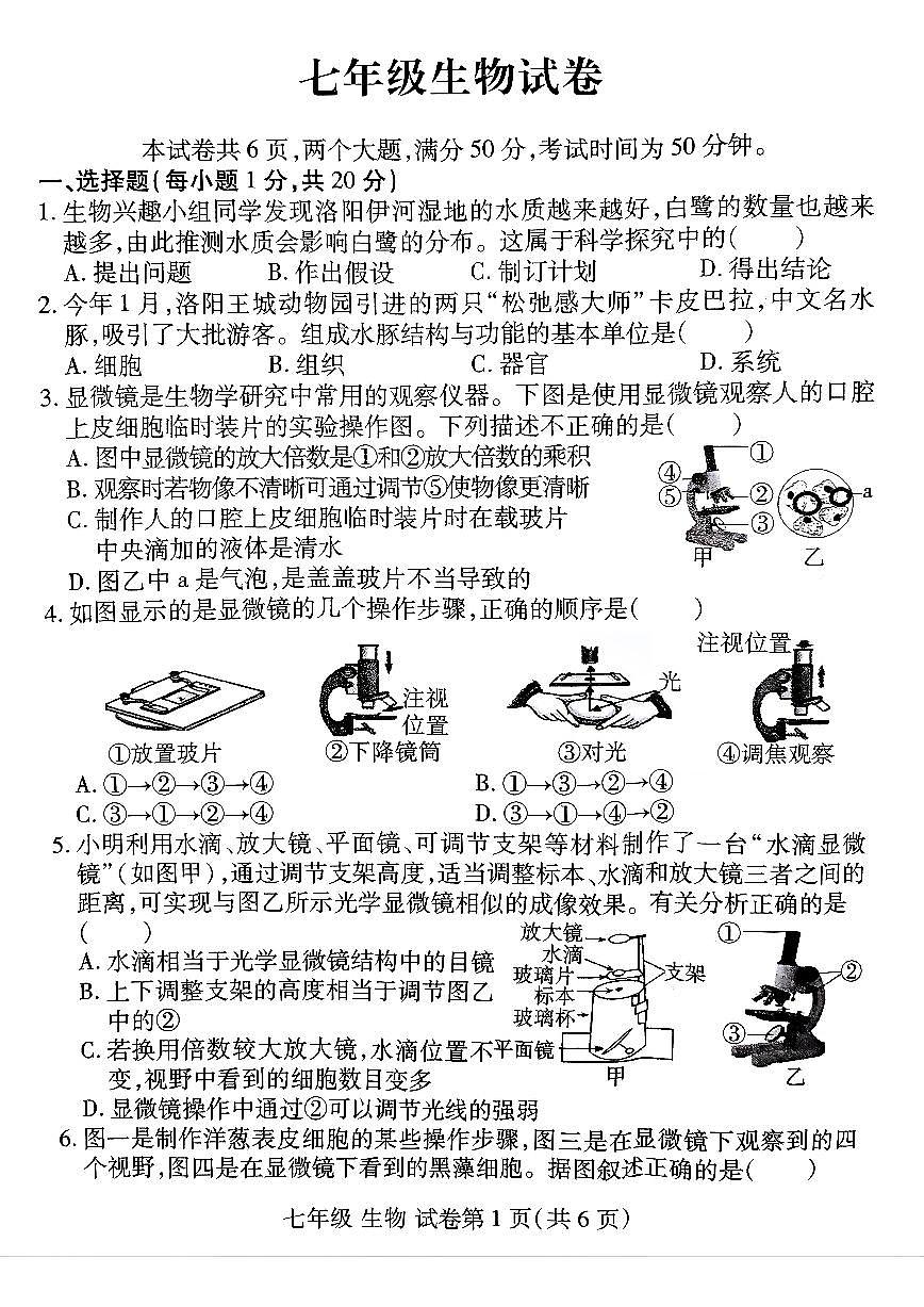 洛阳市伊滨区 2025-2026学年七年级上学期期中生物试卷及答案第1页
