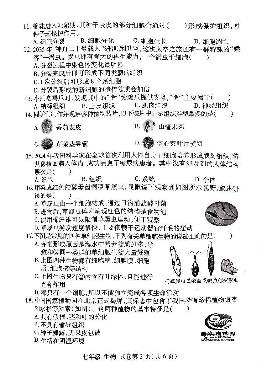 洛阳市伊滨区 2025-2026学年七年级上学期期中生物试卷及答案第3页