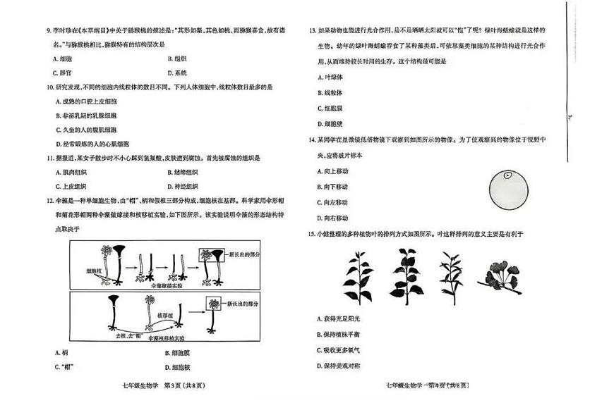 2025-2026学年第一学期山西省太原市期中考试七年级生物学试卷（无答案）第2页