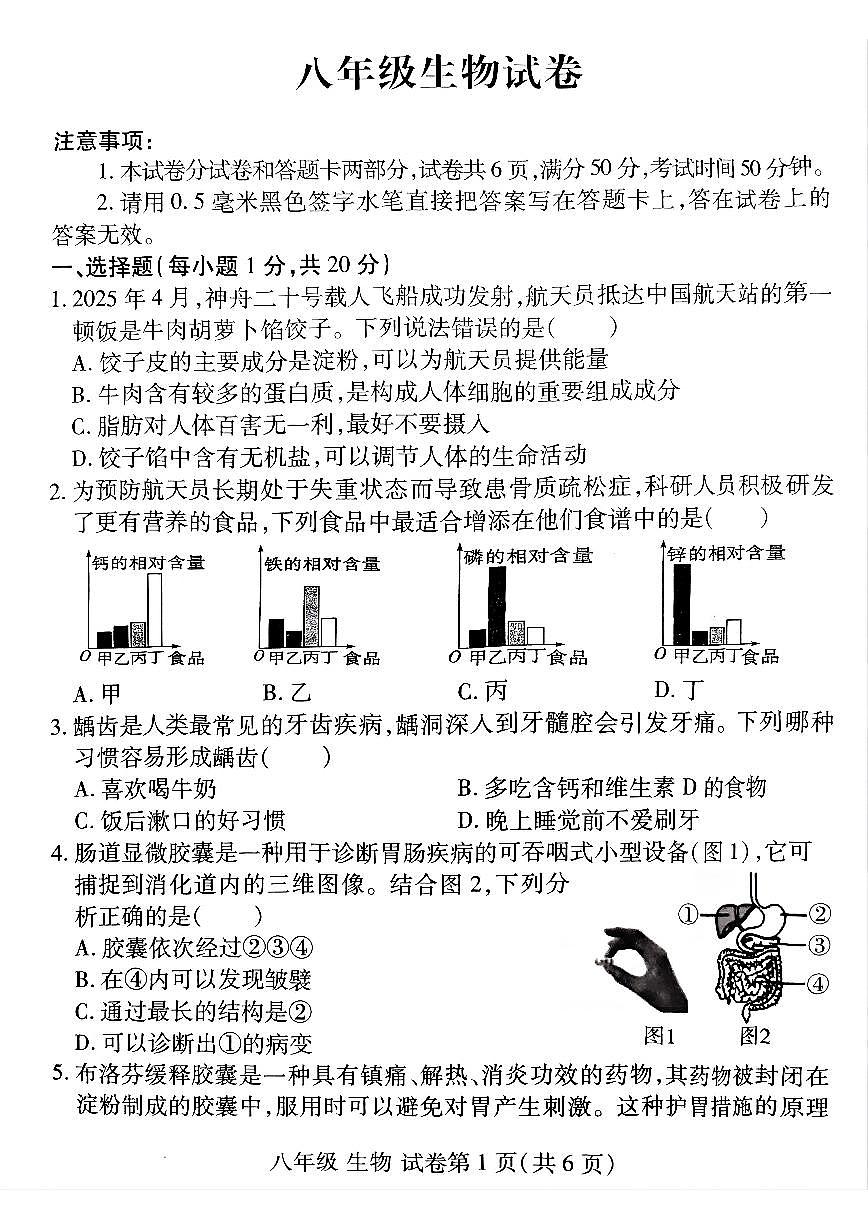 洛阳市伊滨区2025-2026学年八年级上学期期中生物试卷及答案第1页