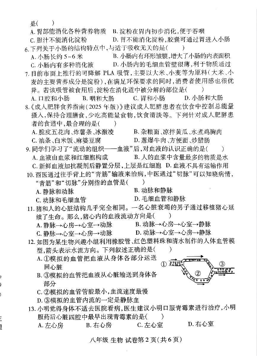 洛阳市伊滨区2025-2026学年八年级上学期期中生物试卷及答案第2页