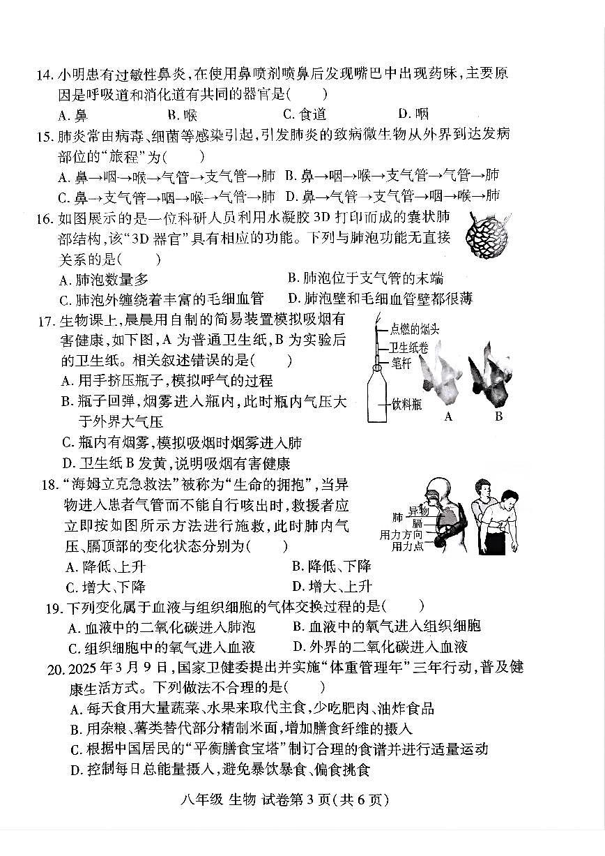洛阳市伊滨区2025-2026学年八年级上学期期中生物试卷及答案第3页