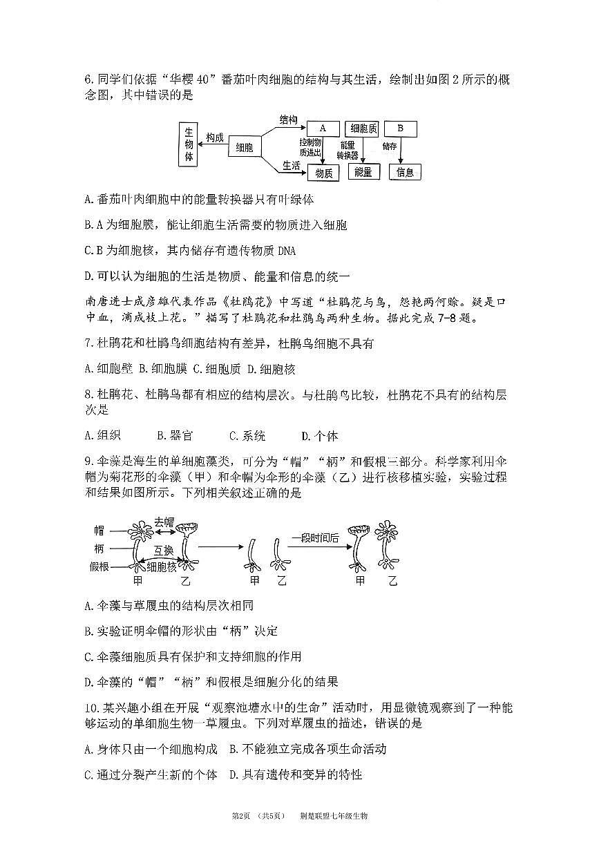7上25年荆楚联盟期中生物试卷及答案第2页