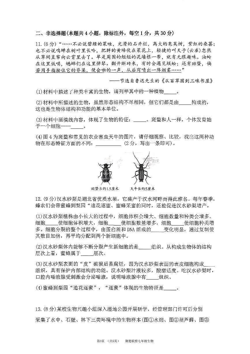 7上25年荆楚联盟期中生物试卷及答案第3页