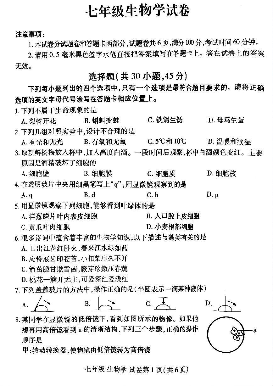 河南省洛阳市洛龙区2025-2026学年七年级上学期期中生物试卷及答案第1页