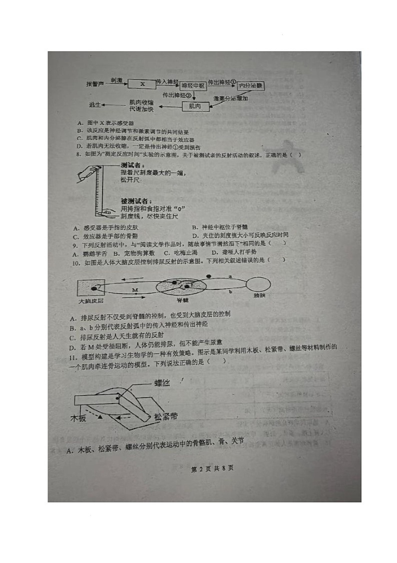 海南省万宁市某校2025-2026学年八年级上学期期中考试生物试题第2页