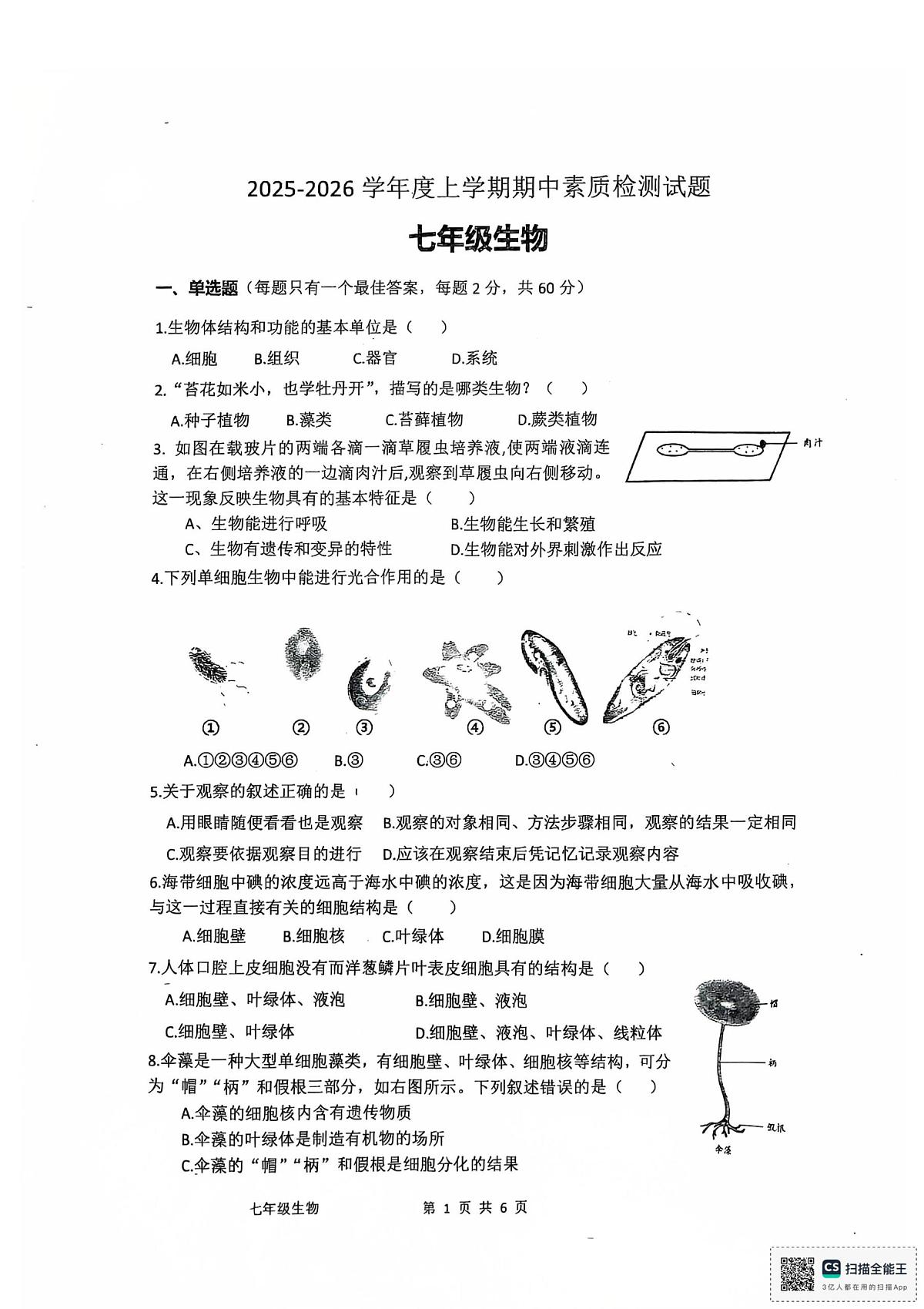 广东省江门市培英初级中学2025-2026学年七年级上学期11月期中生物试题第1页