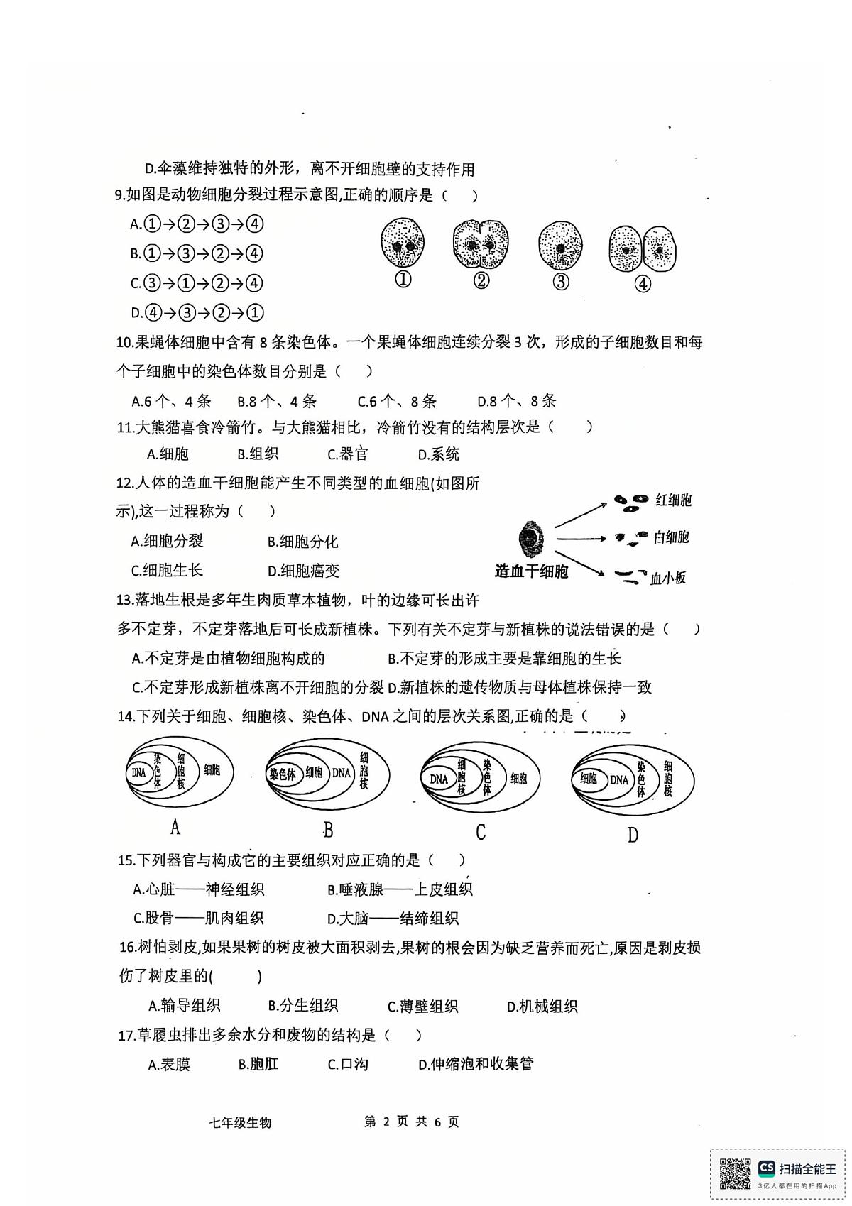 广东省江门市培英初级中学2025-2026学年七年级上学期11月期中生物试题第2页