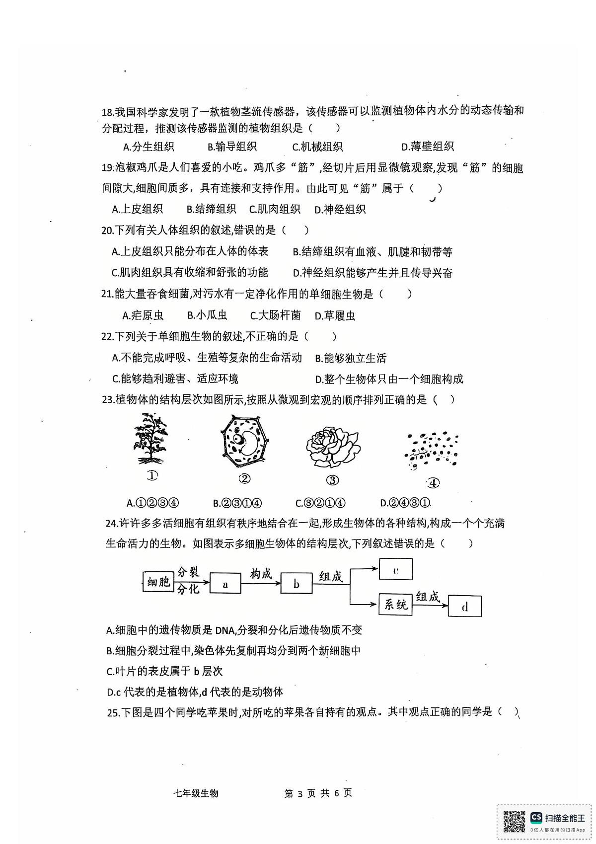 广东省江门市培英初级中学2025-2026学年七年级上学期11月期中生物试题第3页