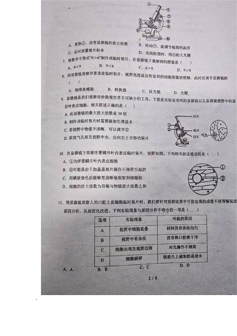 湖南省衡阳市衡山县三校联考2025-2026学年七年级上学期11月期中考试生物试题第1页
