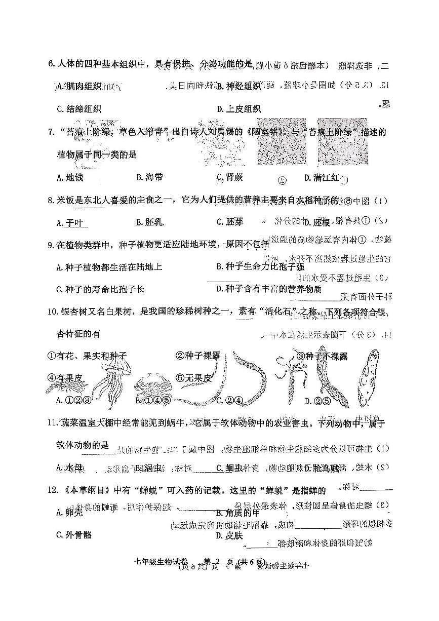 辽宁省铁岭市铁岭县2025-2026学年七年级上学期11月期中生物试题第2页