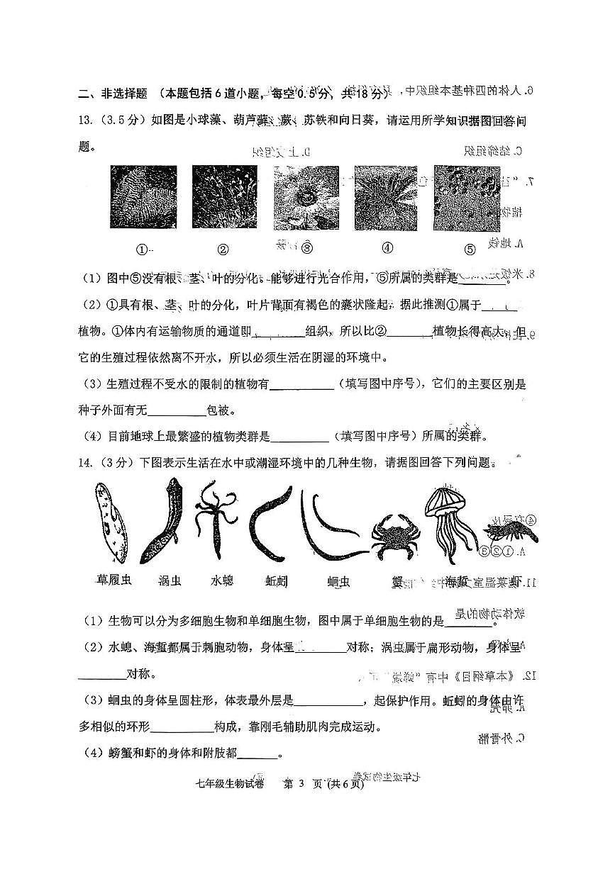 辽宁省铁岭市铁岭县2025-2026学年七年级上学期11月期中生物试题第3页