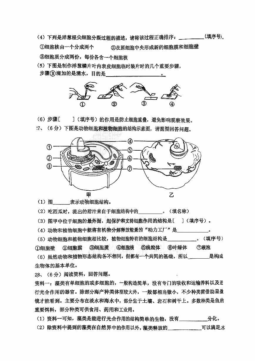2025年哈尔滨工业大学附属中学七年级上学期生物期中试题及答案第3页