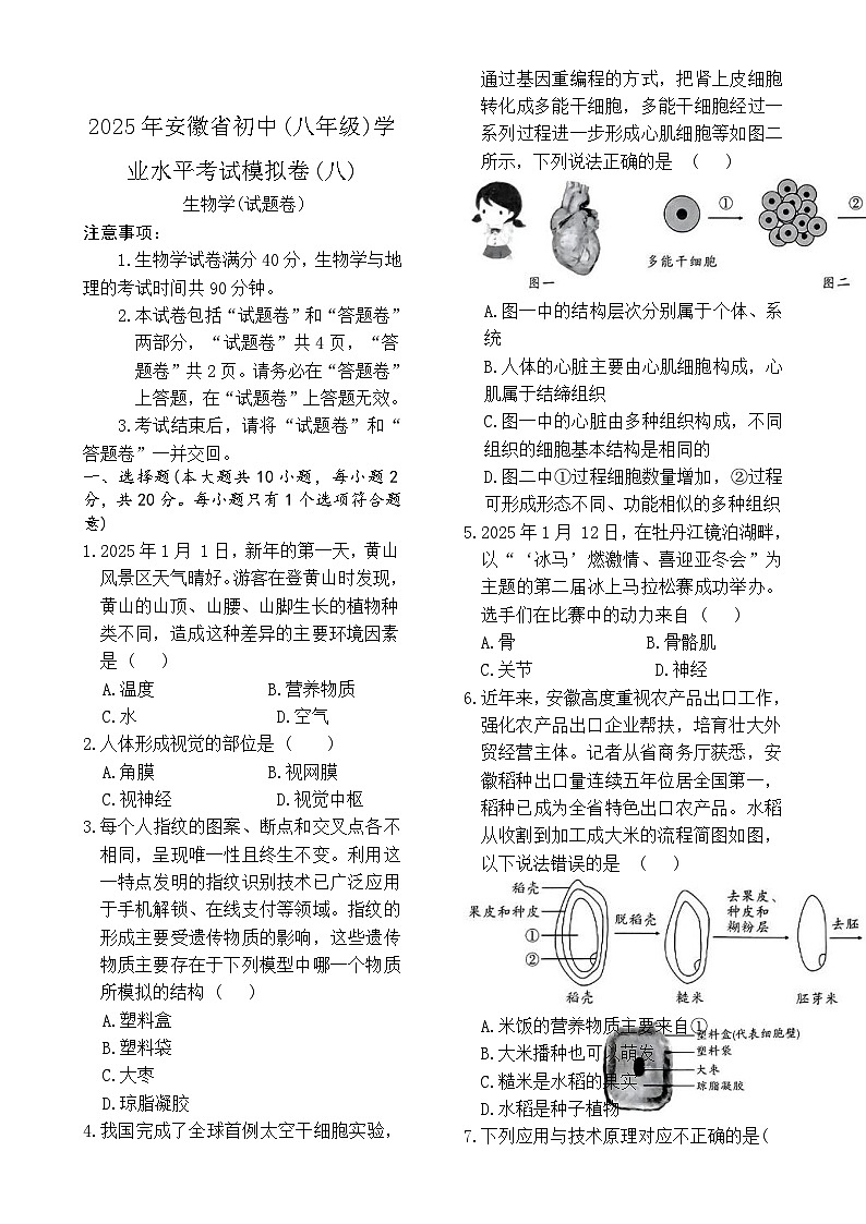 2025年安徽省初中学业水平考试八年级生物模拟卷(二)-A4第1页