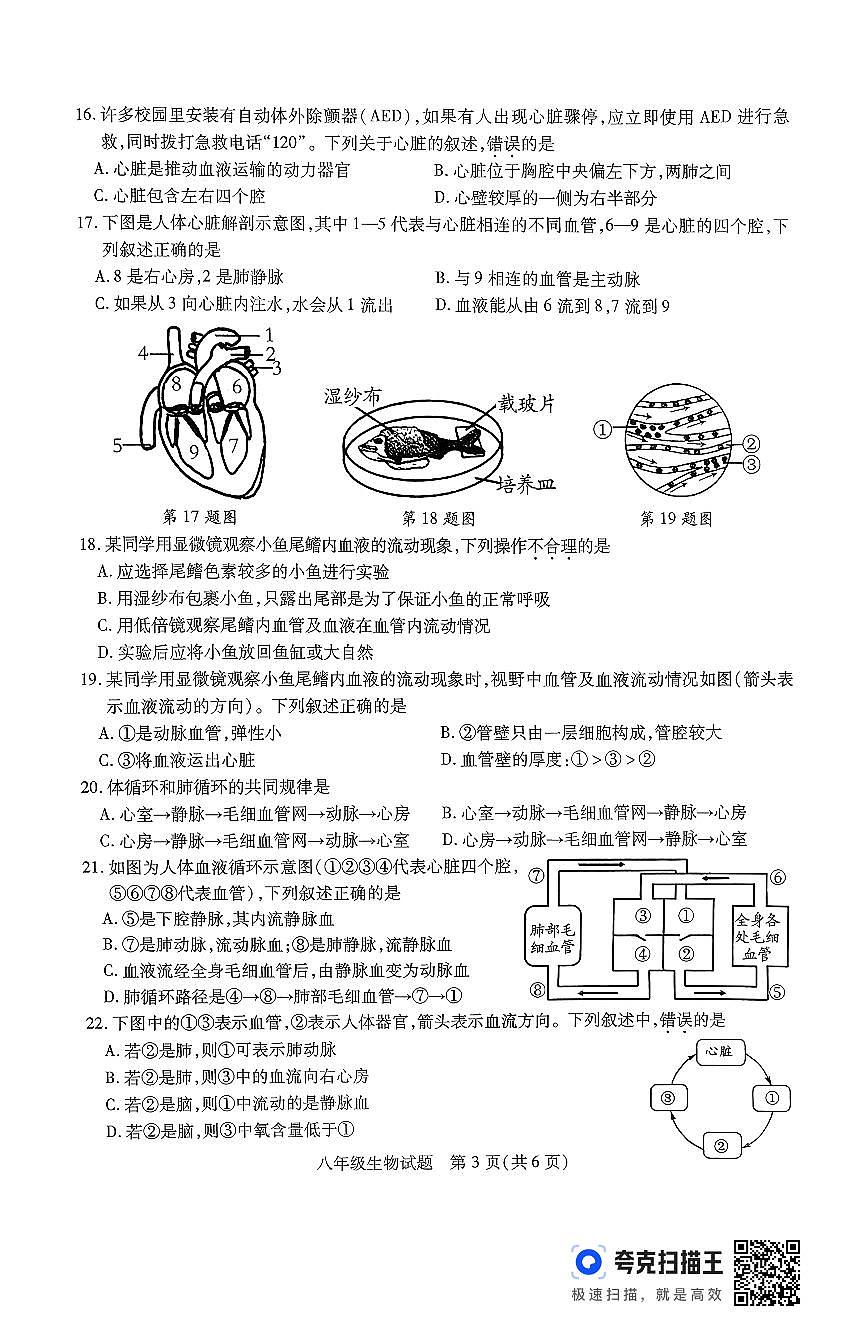 江苏省徐州市沛县2025-2026学年度第一学期期中调研八年级生物试卷第3页
