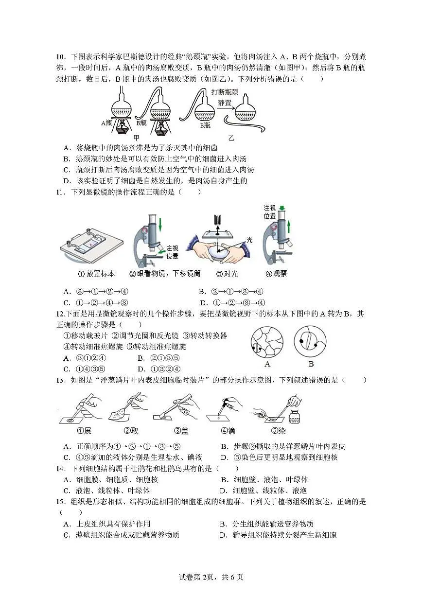 四川省内江市第六中学2025-2026学年七年级上学期期中考试生物试题第2页
