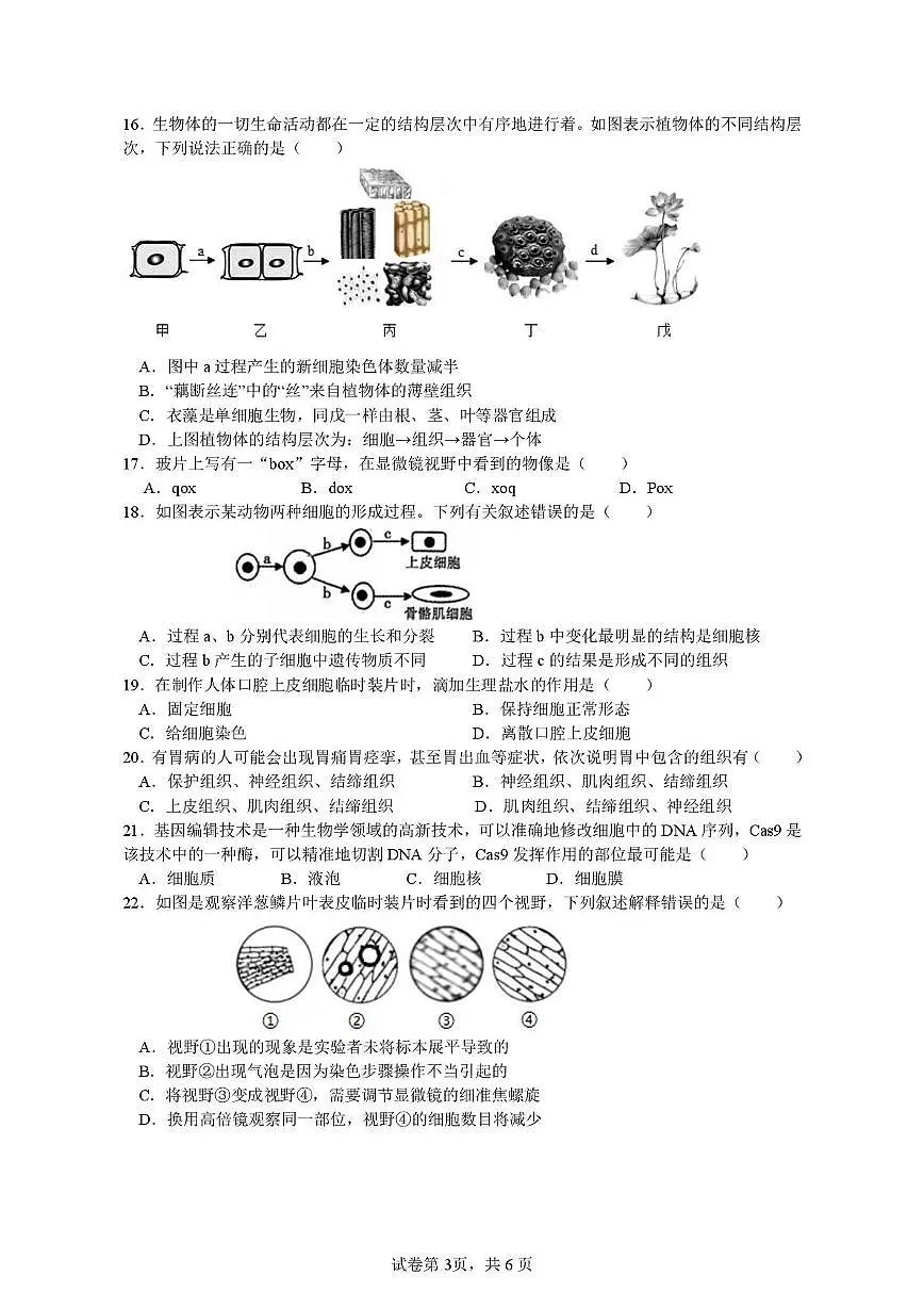 四川省内江市第六中学2025-2026学年七年级上学期期中考试生物试题第3页