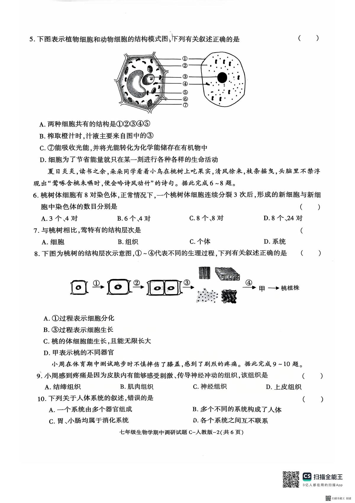 陕西省渭南市韩城市2025-2026学年七年级上学期11月期中生物试题第2页