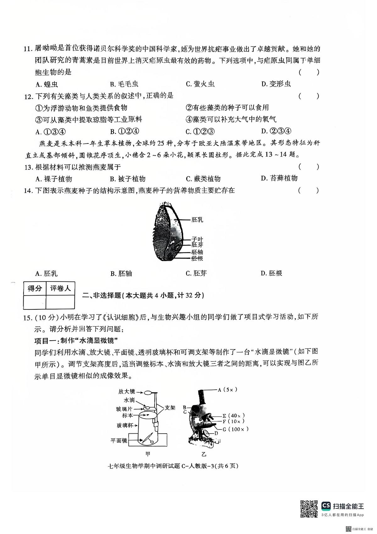 陕西省渭南市韩城市2025-2026学年七年级上学期11月期中生物试题第3页