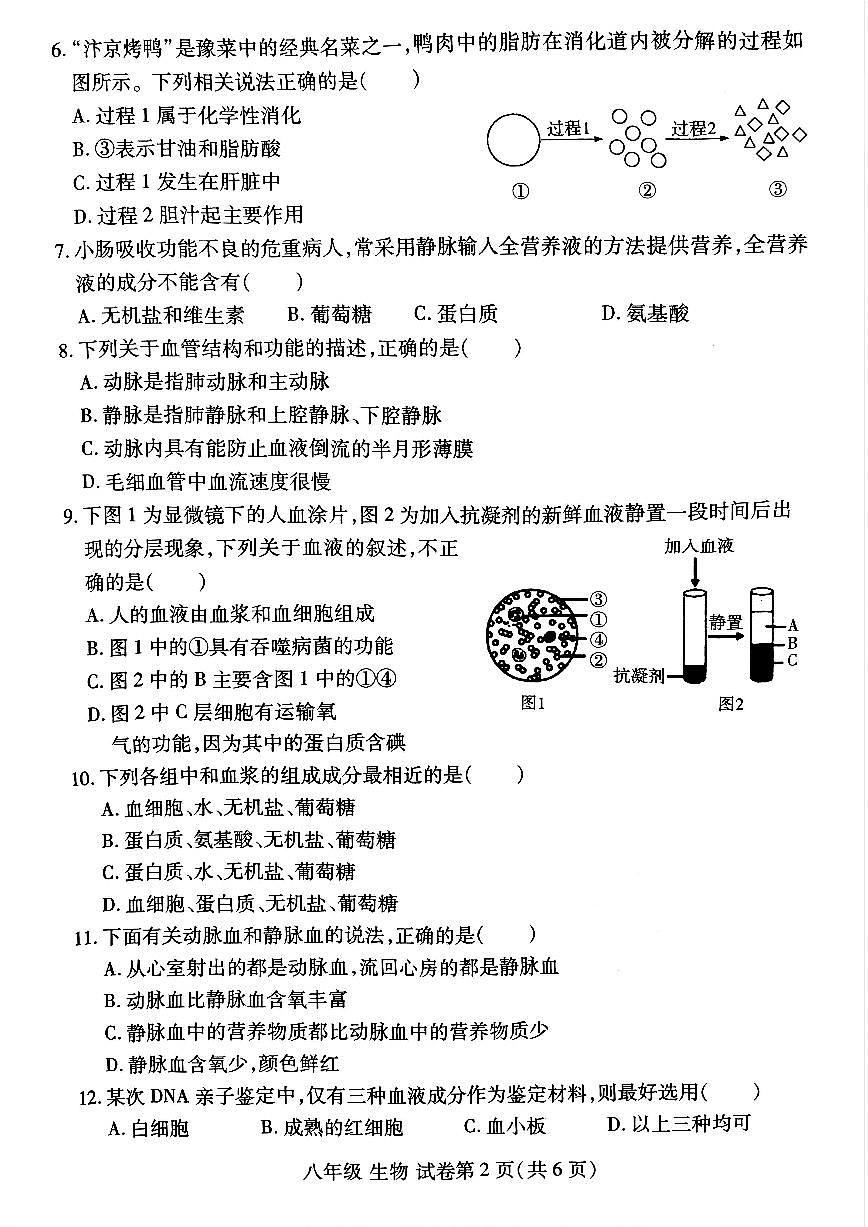 洛阳市瀍河区2025-2026学年八年级上学期期中生物试卷及答案第2页