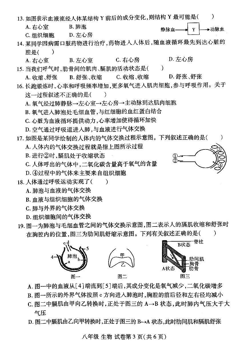 洛阳市瀍河区2025-2026学年八年级上学期期中生物试卷及答案第3页