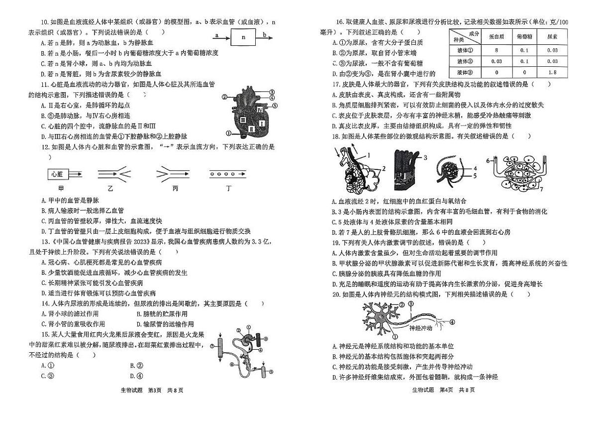 山东省滨州市滨城区2025--2026学年八年级上学期期中质量检测生物试题第2页
