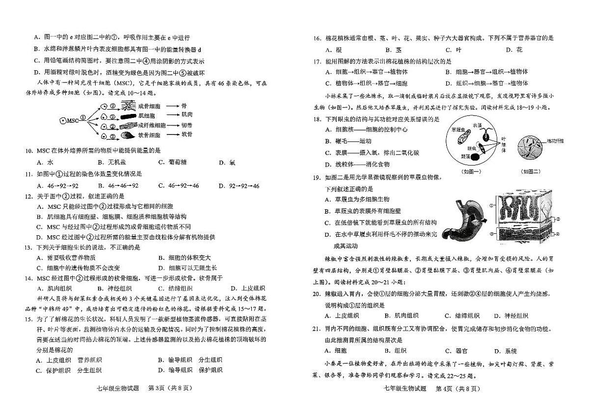 山东省临沂市临沭县2025-2026学年七年级上学期生物期中试题第2页