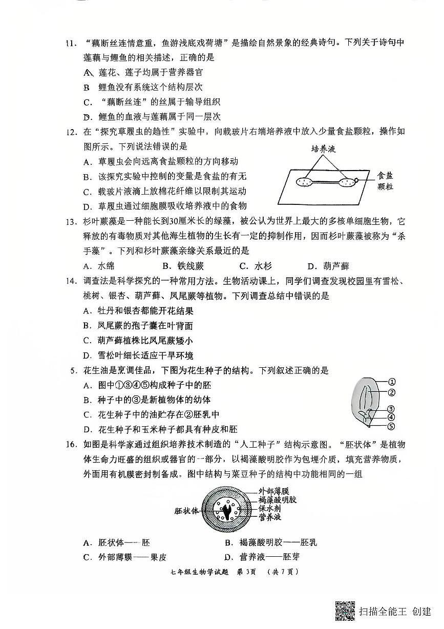 山东省日照市五莲县2025-2026学年七年级上学期11月期中考试生物试卷第3页
