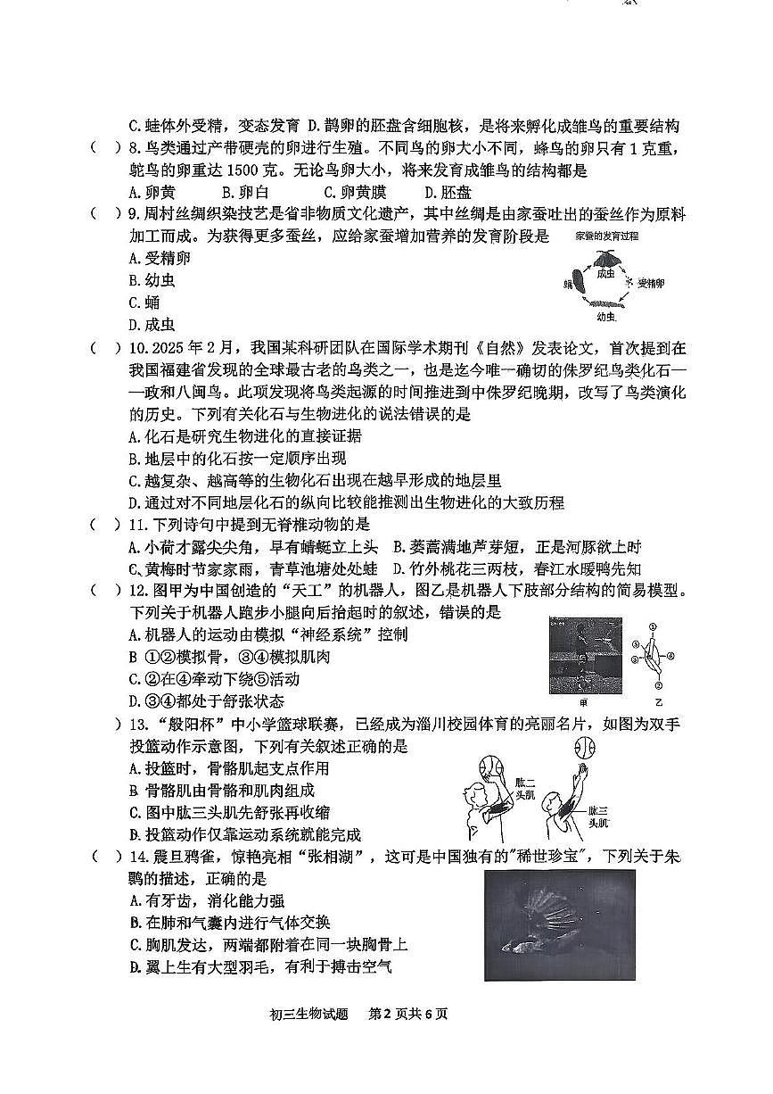 山东省淄博市淄川区2025--2026学年八年级上学期11月期中考试生物试题第2页