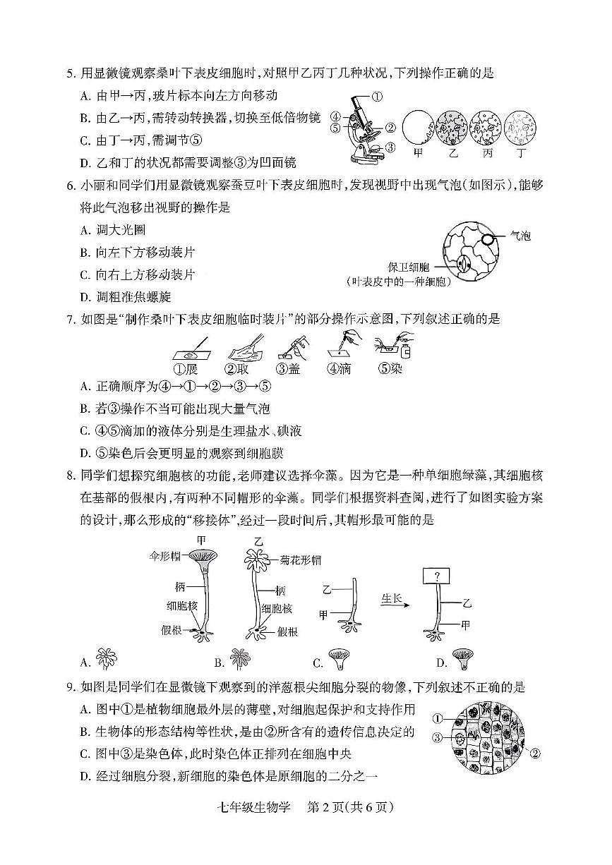 山西省运城市河津市2025-2026学年七年级上学期11月期中生物试题第2页
