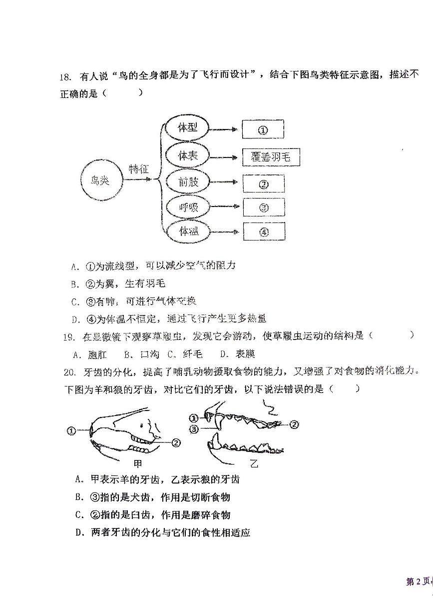 吉林省长春市第八十九中学2025-2026学年七年级上学期11月期中生物试题第3页