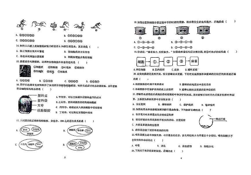河北省邯郸市育华中学2025-2026学年七年级上学期11月期中生物试题第2页