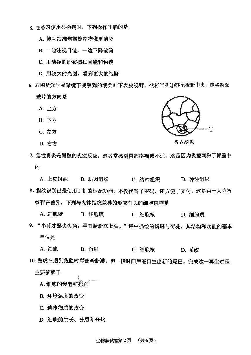 辽宁省葫芦岛市兴城市2025-2026学年第一学期七年级生物学期中试卷（无答案）第2页