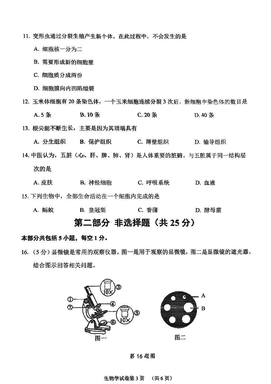 辽宁省葫芦岛市兴城市2025-2026学年第一学期七年级生物学期中试卷（无答案）第3页