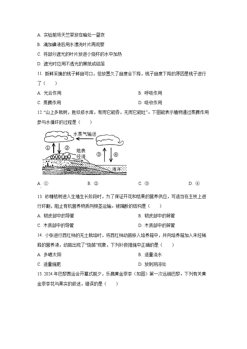 广东省韶关市2024-2025学年七年级上学期期末生物试题（学生版）第3页