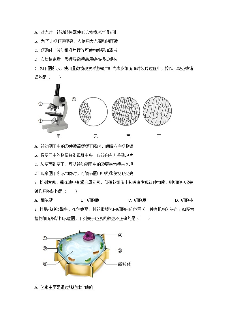 广东省韶关市仁化县仁化中学2024-2025学年七年级上10月月考生物试题（学生版）第2页
