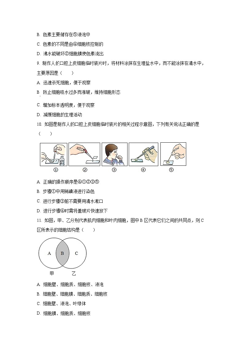 广东省韶关市仁化县仁化中学2024-2025学年七年级上10月月考生物试题（学生版）第3页