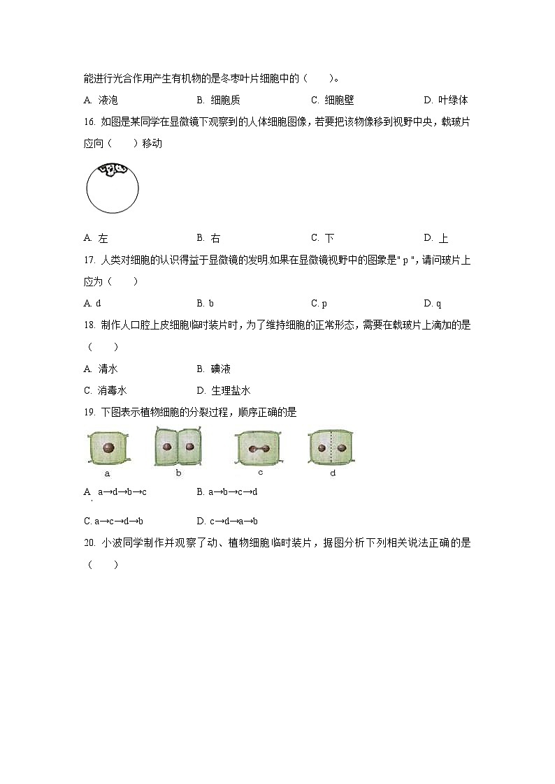 广东省韶关市翁源县2024-2025学年七年级上学期期中生物试题（学生版）第3页