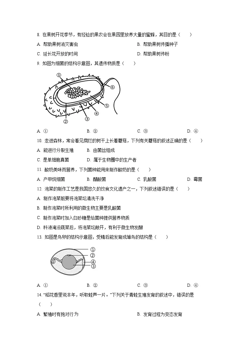 广东省韶关市2024-2025学年八年级上学期期末生物试题（学生版）第3页