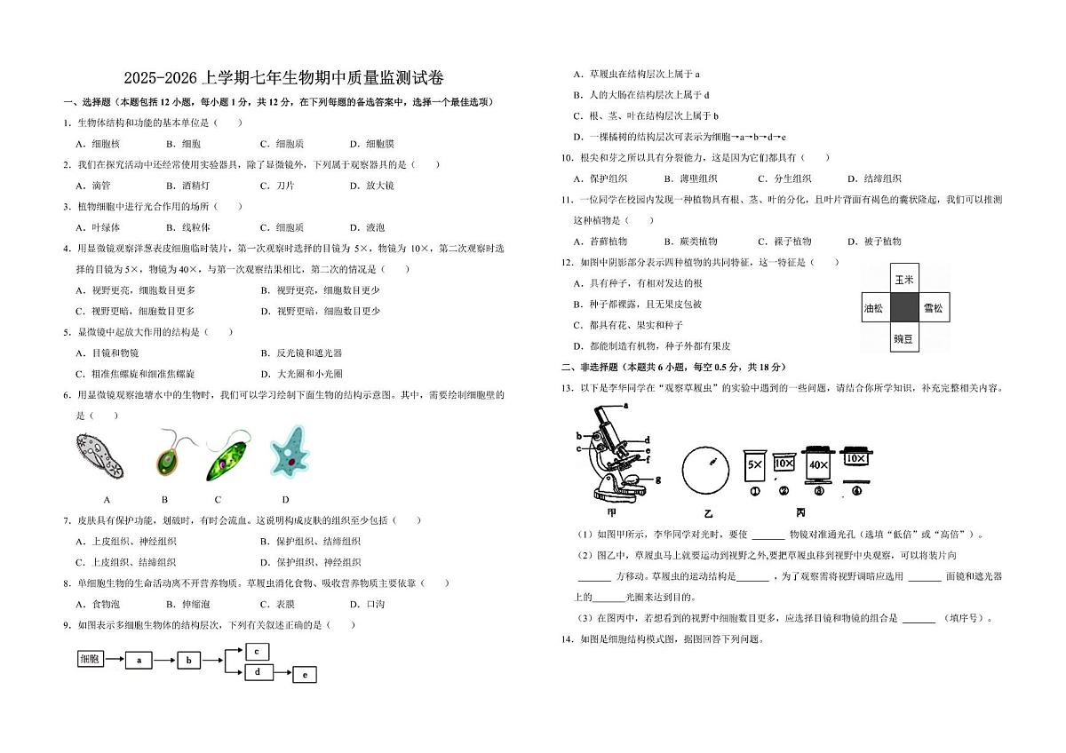 辽宁省沈阳市一七五中学教育集团2025-2026学年七年级上学期期中考试生物试卷第1页