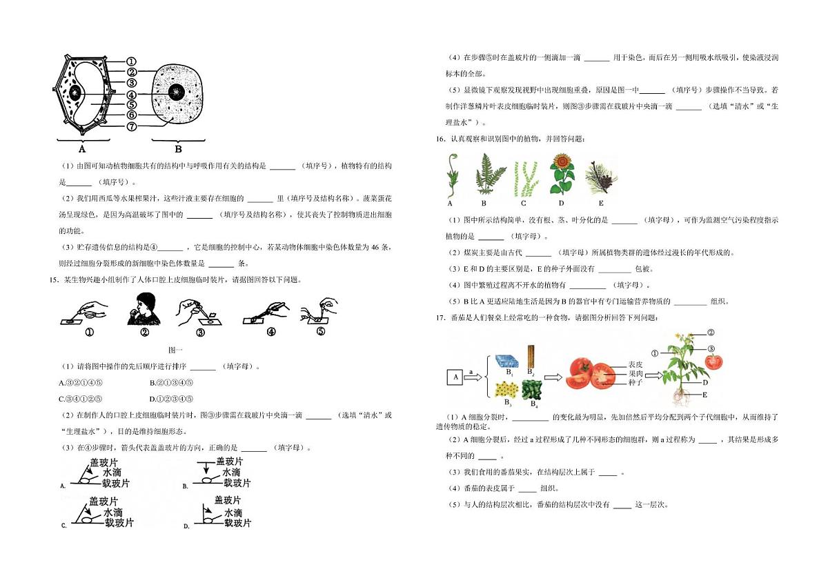 辽宁省沈阳市一七五中学教育集团2025-2026学年七年级上学期期中考试生物试卷第2页