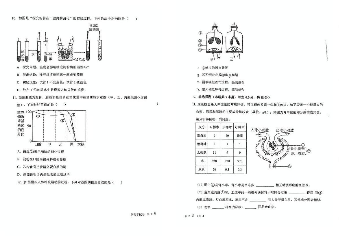 辽宁省沈阳市一三四中学2025-2026学年八年级上学期生物期中试题第2页